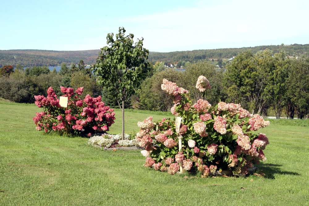 harmonie rencontre quebec