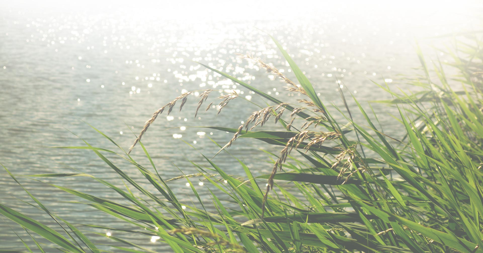 rivière-lac-herbes-header